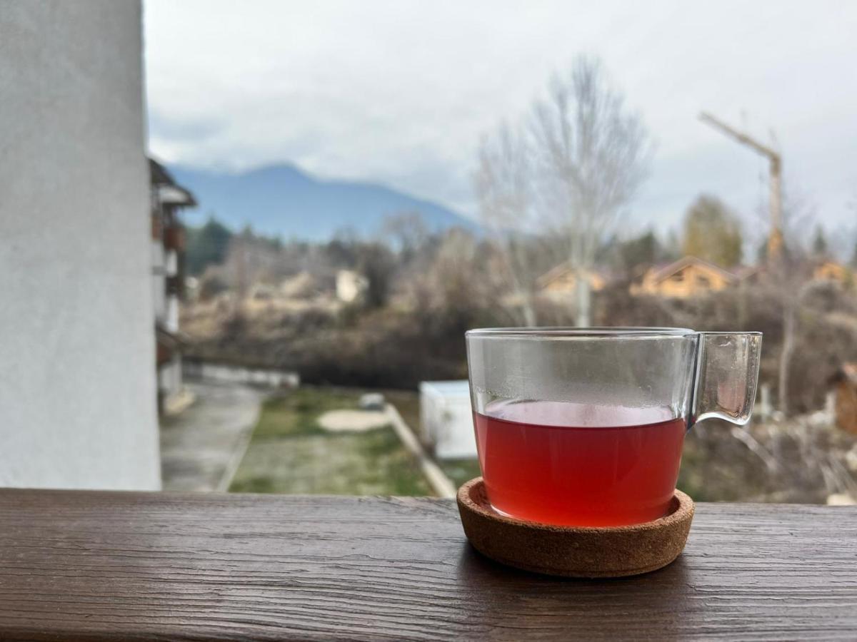 Bansko Vibes Apartments - Vesta Boutique Ngoại thất bức ảnh